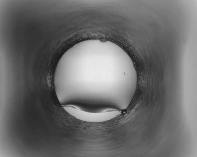 X0000093471490200711091558