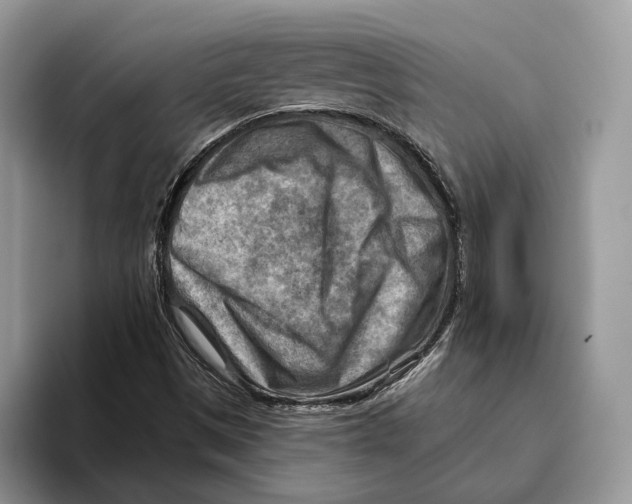 X0000093471497200711091558