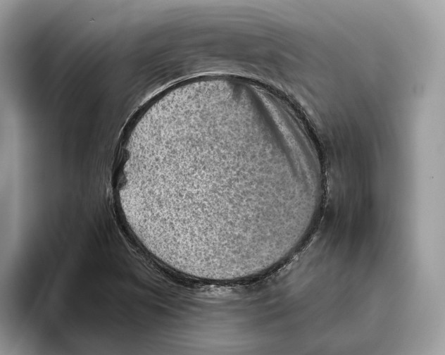 X0000093471505200711091558