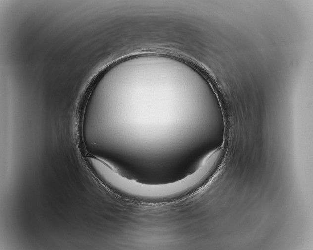 X0000093471506200711091558