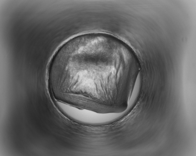 X0000093471508200711091558