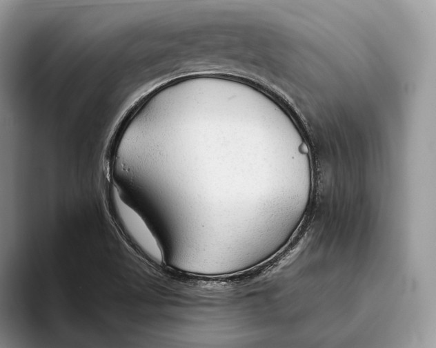 X0000093471509200711091558