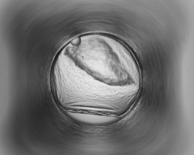 X0000093471513200711091558