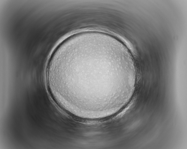 X0000093471514200711091558