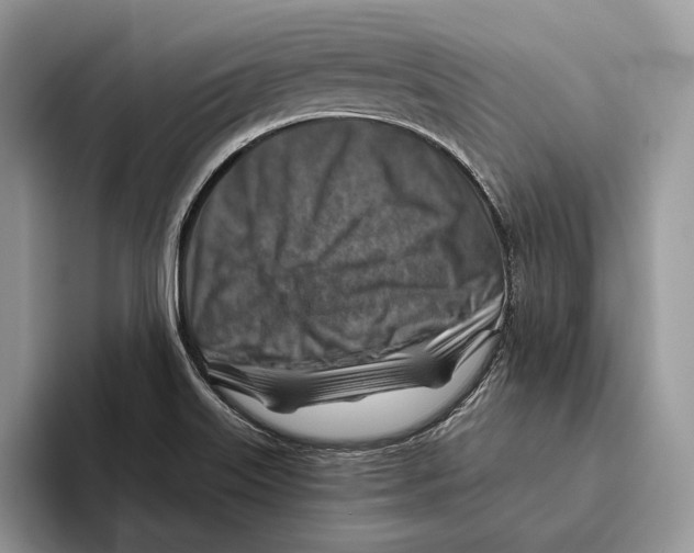 X0000093471515200711091558