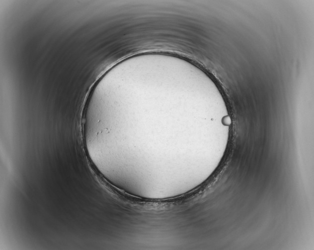 X0000093471521200711091558