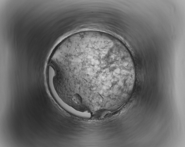 X0000093471522200711091558