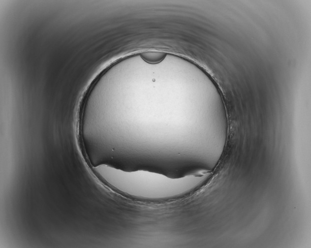 X0000093471523200711091558