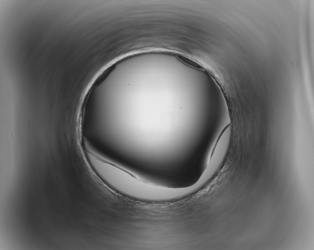 X0000093471524200711091558