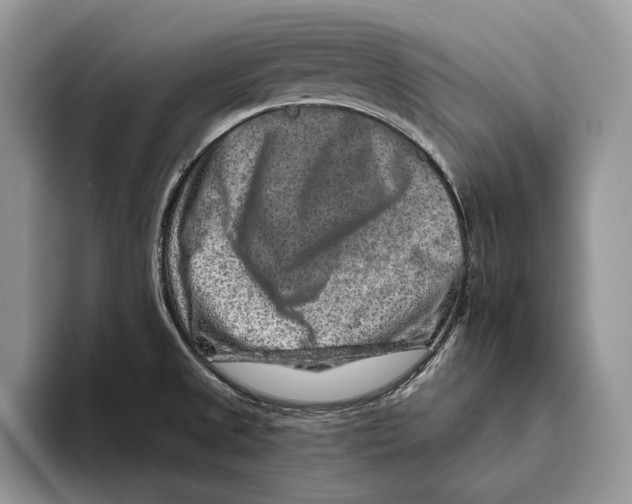 X0000093471525200711091558