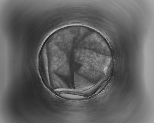 X0000093471527200711091558