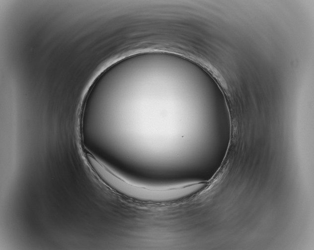 X0000093471530200711091558