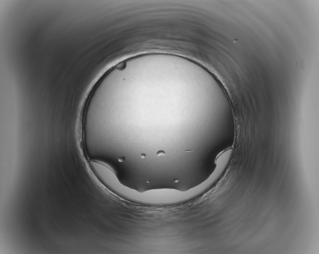 X0000093471531200711091558