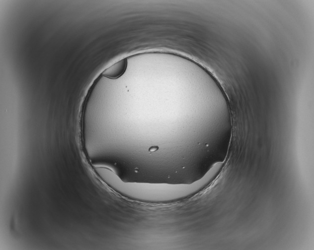 X0000093471534200711091558