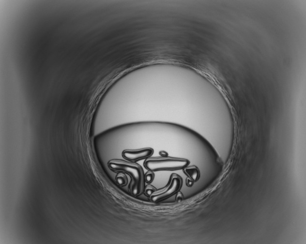 X0000093480001200710121003
