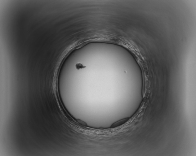 X0000093480003200710121003
