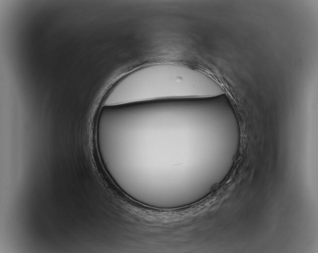 X0000093480006200710121003