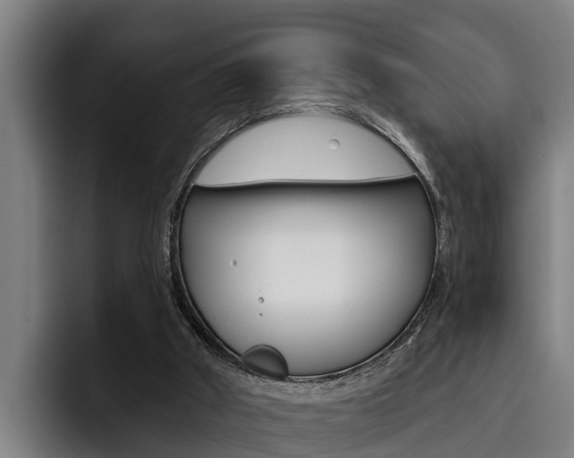 X0000093480010200710121003