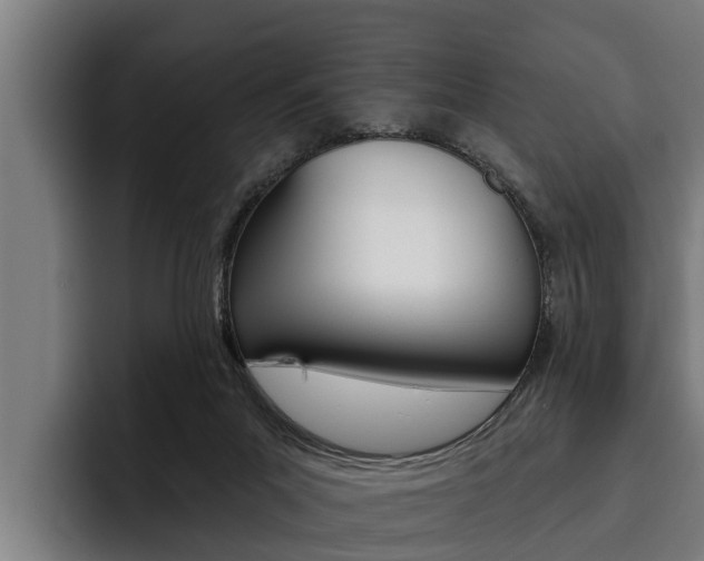 X0000093480023200710121003