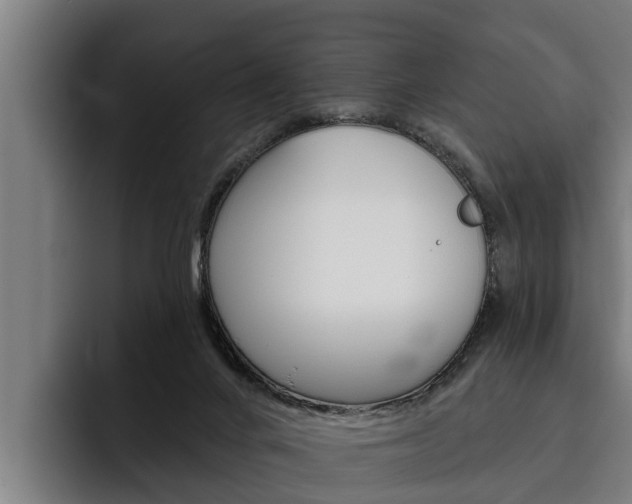 X0000093480024200710121002