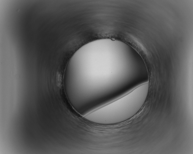 X0000093480025200710121002
