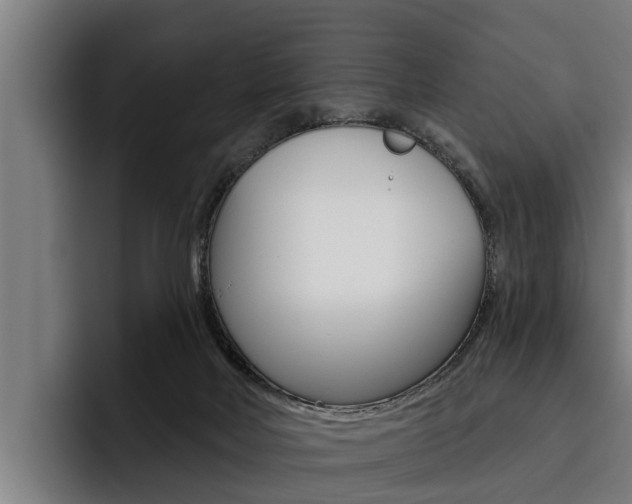 X0000093480026200710121002