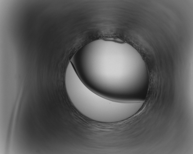 X0000093480033200710121002