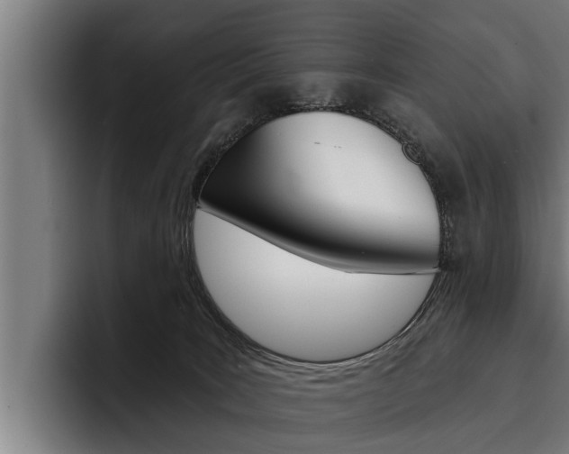 X0000093480035200710121002