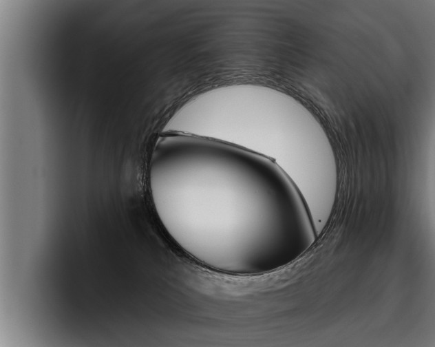 X0000093480039200710121002