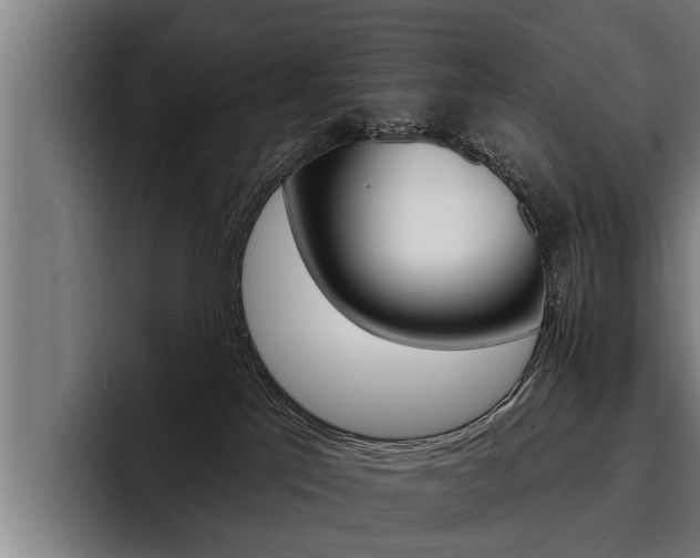 X0000093480041200710121002