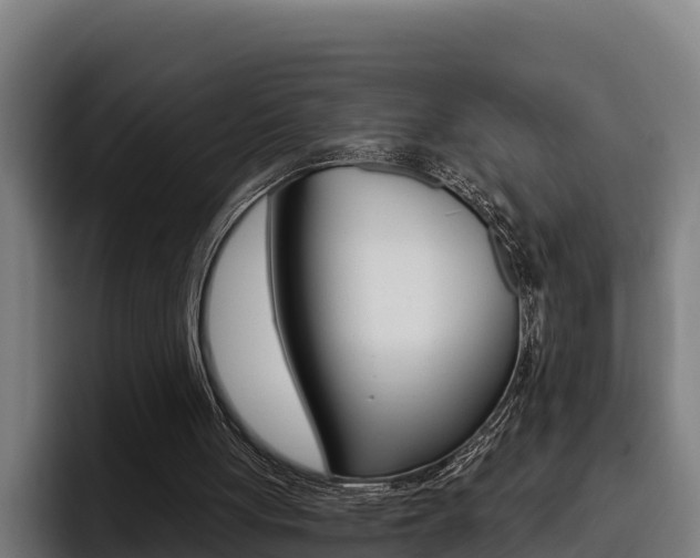 X0000093480051200710121002
