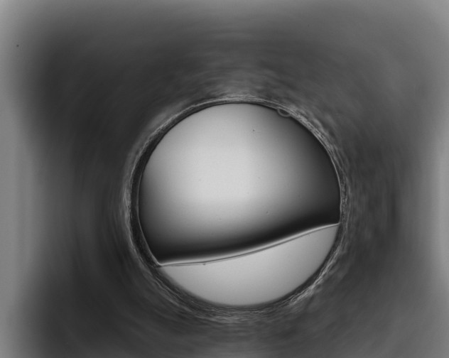 X0000093480055200710121002