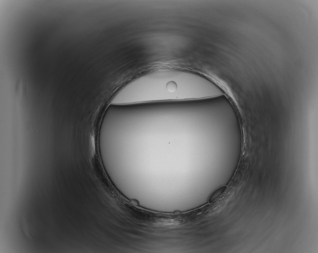 X0000093480061200710121002
