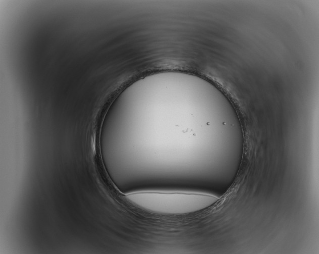 X0000093480062200710121002