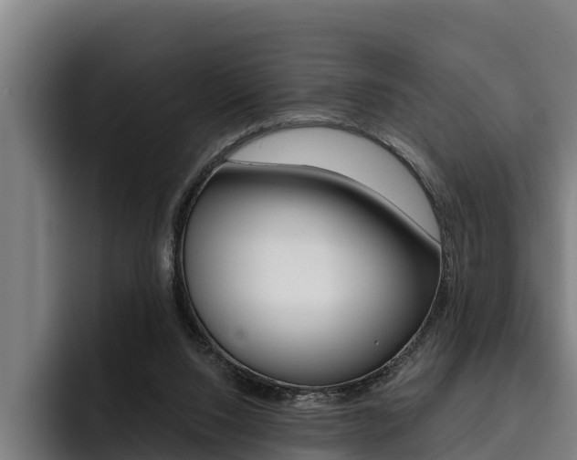 X0000093480064200710121002