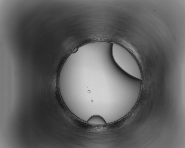 X0000093480065200710121002