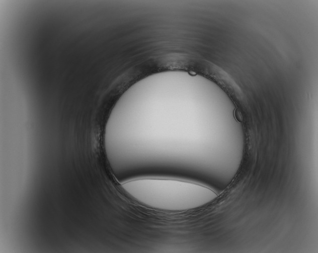 X0000093480073200710121002
