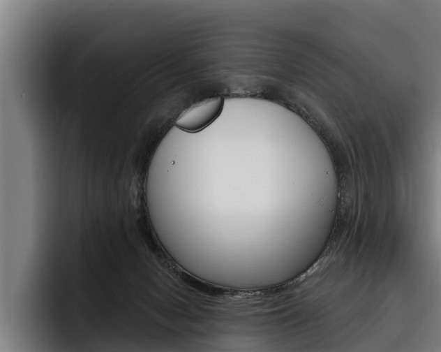 X0000093480078200710121002