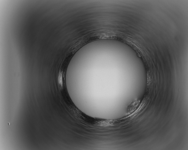 X0000093480094200710121002