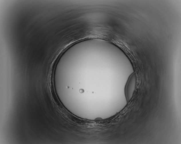 X0000093480098200710121002