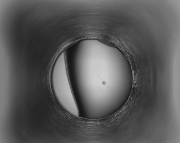 X0000093480099200710121002