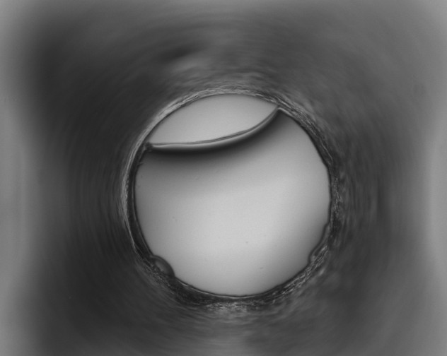 X0000093480100200710121002