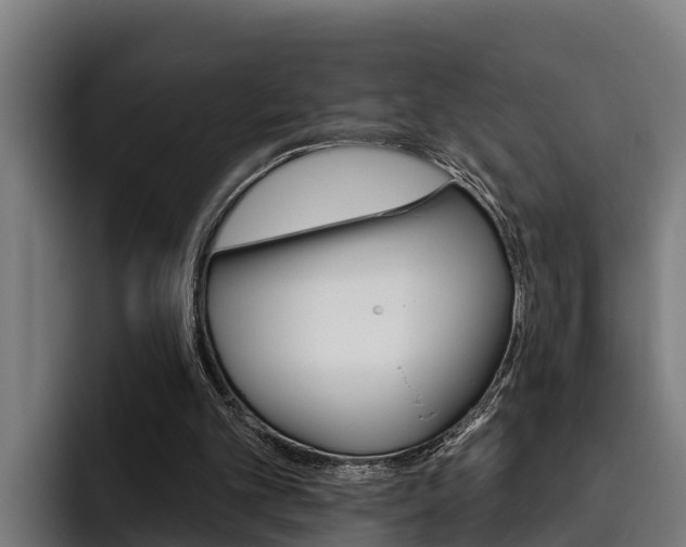 X0000093480101200710121002
