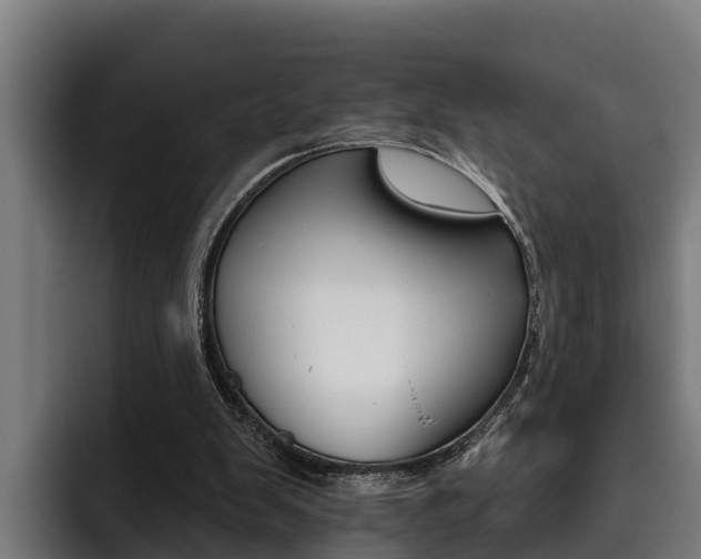 X0000093480103200710121002