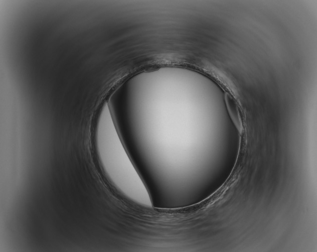 X0000093480105200710121002