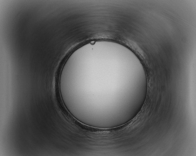 X0000093480108200710121002