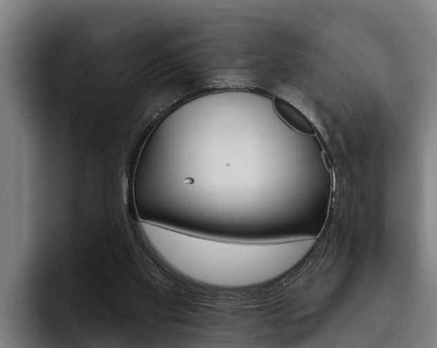 X0000093480109200710121002