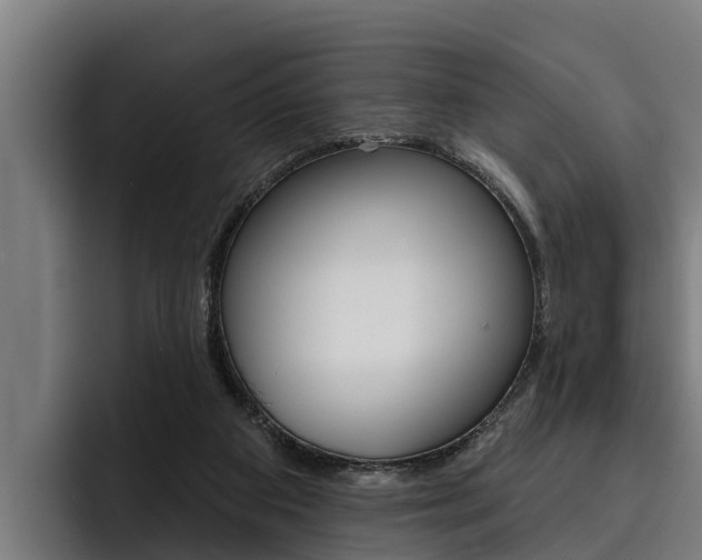 X0000093480113200710121001