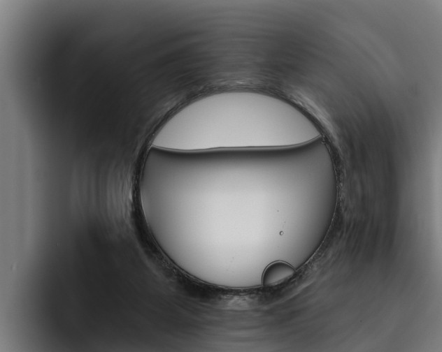 X0000093480115200710121001