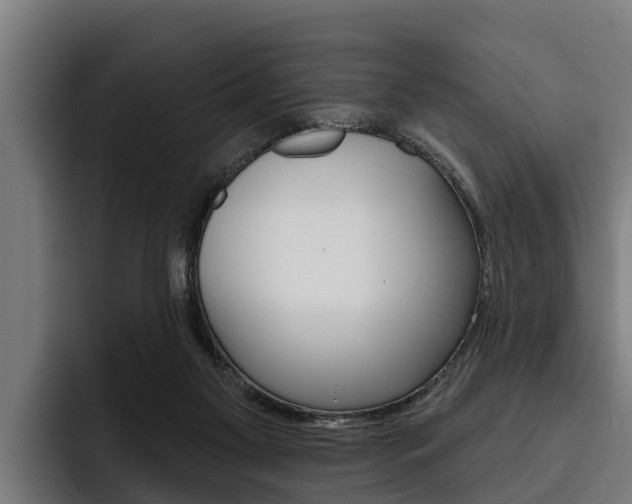 X0000093480117200710121001